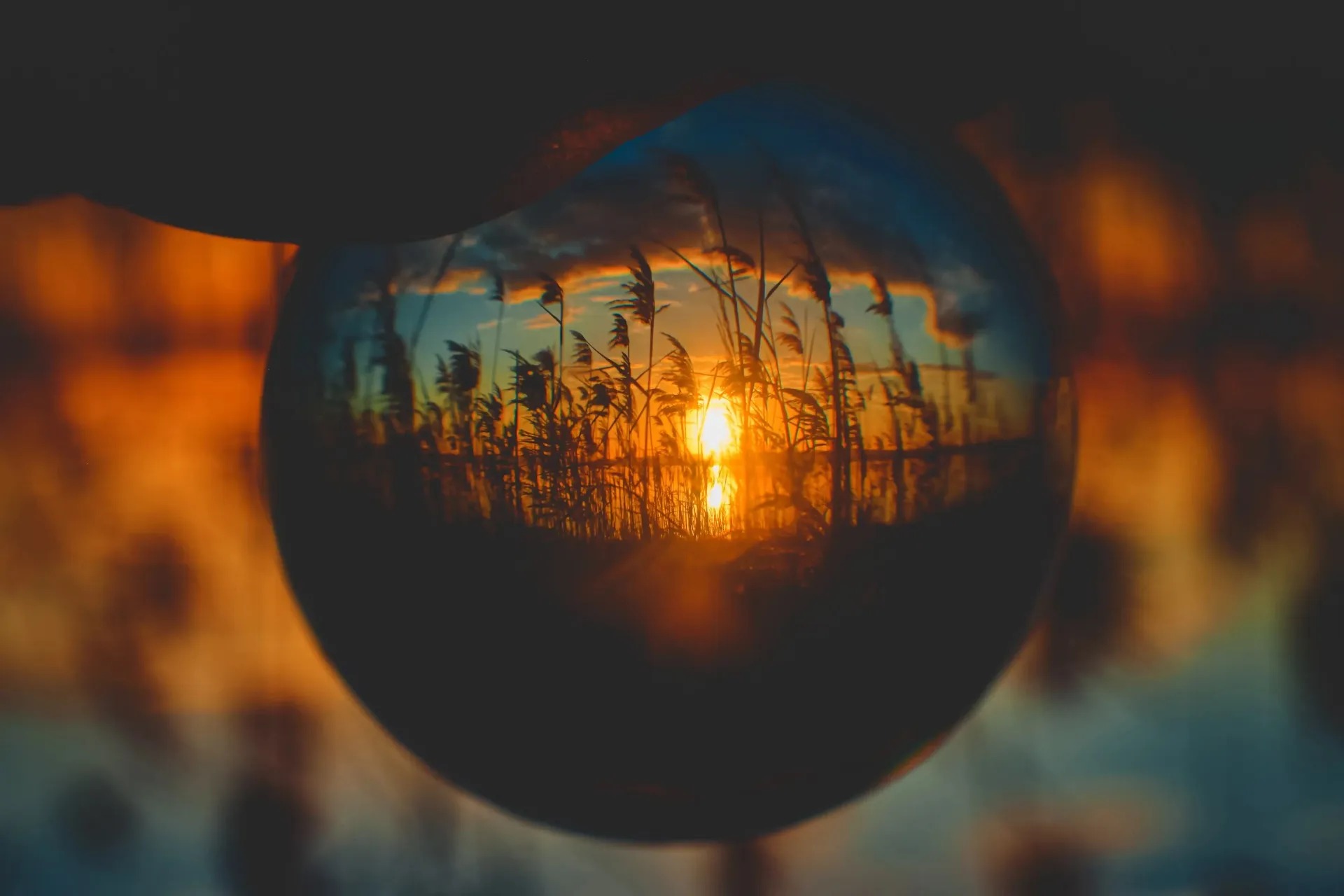 Crianças brincando juntas simbolizando desenvolvimento infantil