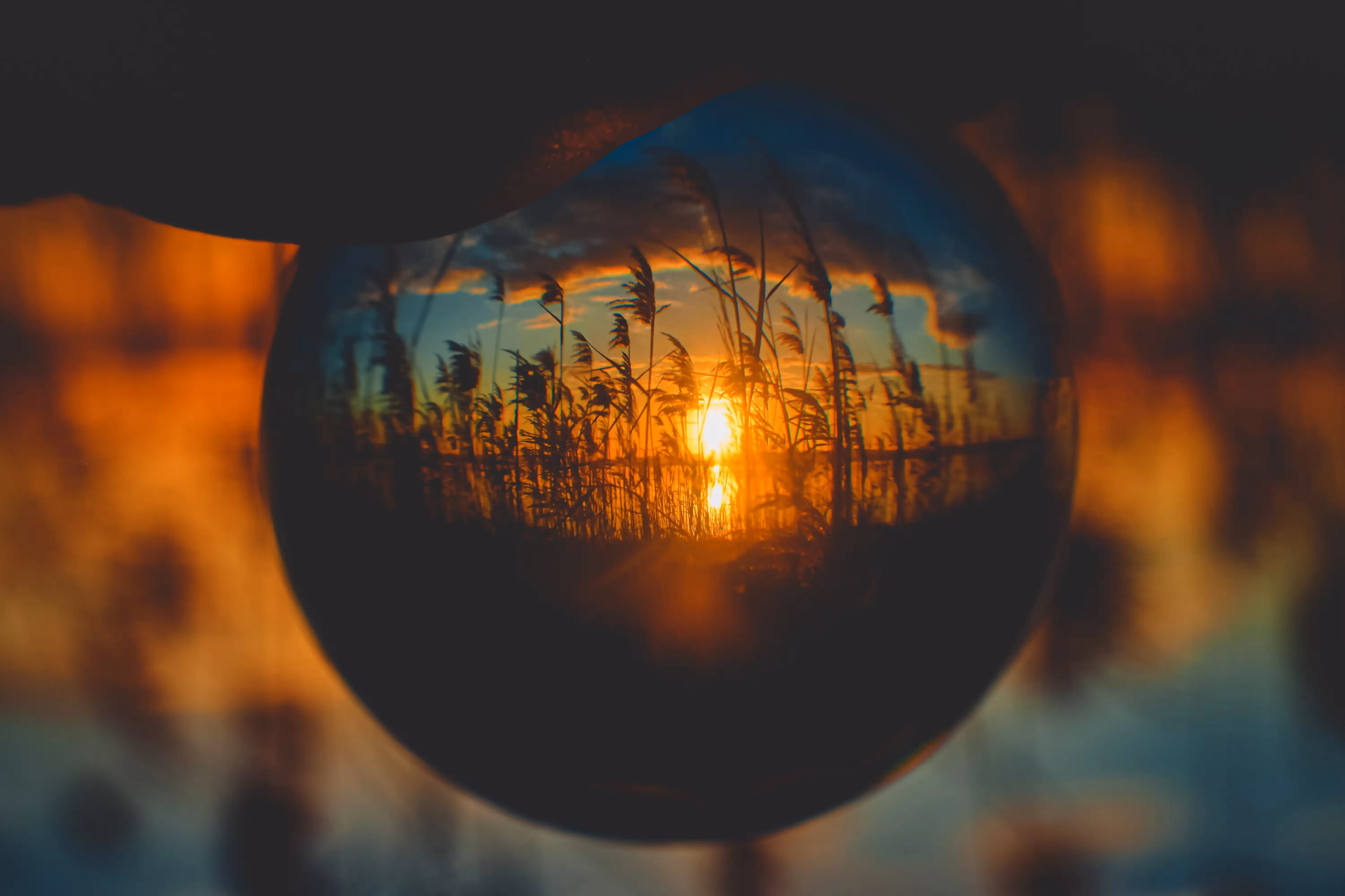 Imagem ilustrativa do artigo sobre Psicologia